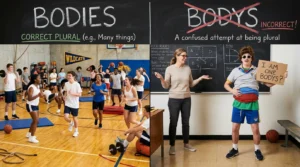 bodies vs bodys